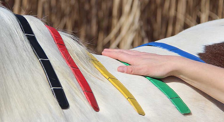 saddlecheck