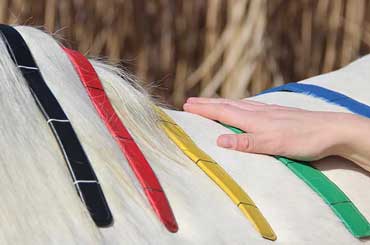 Saddle Check